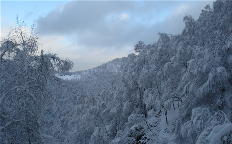 Nevicate al Noveis 2010